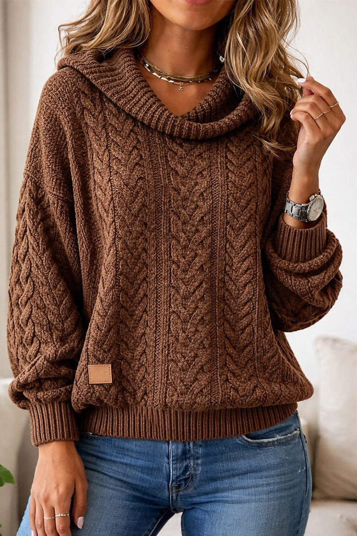 Solid Twisted Knit Sweater